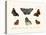 Butterflies, 1783-1806-null-Stretched Canvas