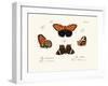 Butterflies, 1783-1806-null-Framed Giclee Print