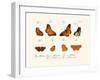 Butterflies, 1783-1806-null-Framed Giclee Print