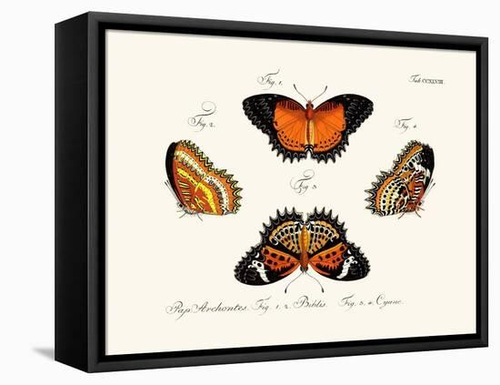 Butterflies, 1783-1806-null-Framed Stretched Canvas