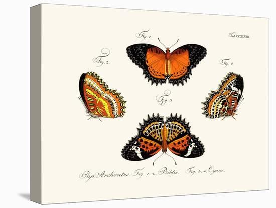 Butterflies, 1783-1806-null-Stretched Canvas