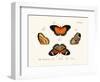 Butterflies, 1783-1806-null-Framed Giclee Print