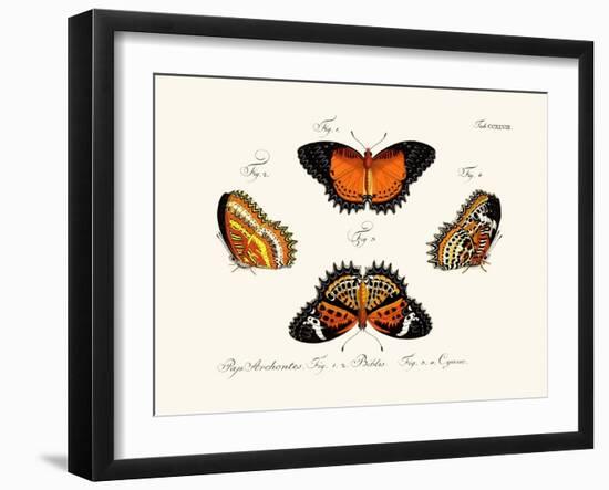 Butterflies, 1783-1806-null-Framed Giclee Print