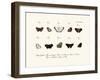 Butterflies, 1783-1806-null-Framed Giclee Print