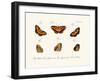 Butterflies, 1783-1806-null-Framed Giclee Print