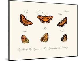 Butterflies, 1783-1806-null-Mounted Giclee Print