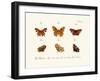 Butterflies, 1783-1806-null-Framed Giclee Print