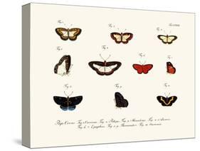 Butterflies, 1783-1806-null-Stretched Canvas