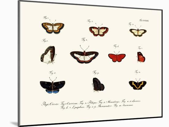 Butterflies, 1783-1806-null-Mounted Giclee Print