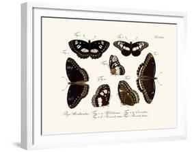 Butterflies, 1783-1806-null-Framed Giclee Print