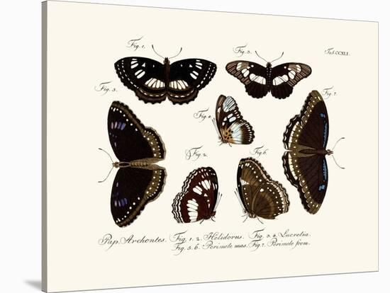 Butterflies, 1783-1806-null-Stretched Canvas