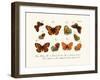 Butterflies, 1783-1806-null-Framed Giclee Print