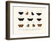 Butterflies, 1783-1806-null-Framed Giclee Print