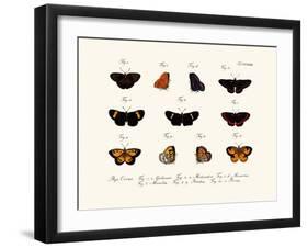 Butterflies, 1783-1806-null-Framed Giclee Print