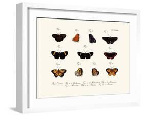 Butterflies, 1783-1806-null-Framed Giclee Print