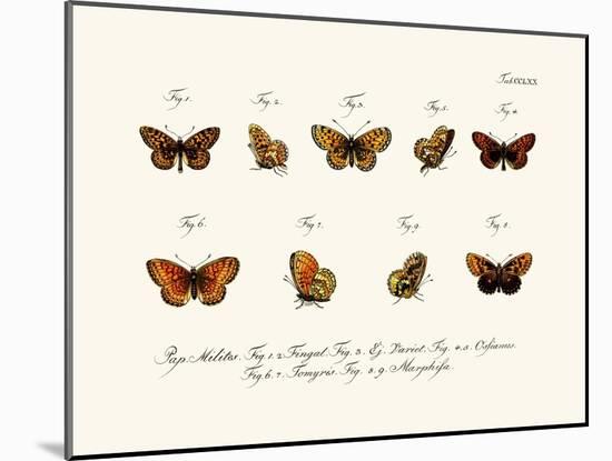 Butterflies, 1783-1806-null-Mounted Giclee Print