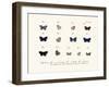 Butterflies, 1783-1806-null-Framed Giclee Print