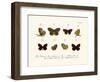 Butterflies, 1783-1806-null-Framed Giclee Print