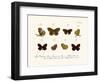 Butterflies, 1783-1806-null-Framed Giclee Print