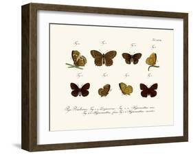 Butterflies, 1783-1806-null-Framed Giclee Print