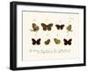 Butterflies, 1783-1806-null-Framed Giclee Print