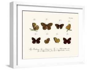 Butterflies, 1783-1806-null-Framed Giclee Print