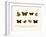 Butterflies, 1783-1806-null-Framed Giclee Print