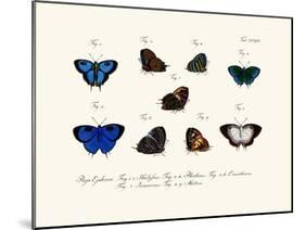 Butterflies, 1783-1806-null-Mounted Giclee Print