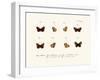 Butterflies, 1783-1806-null-Framed Giclee Print