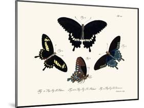 Butterflies, 1783-1806-null-Mounted Giclee Print