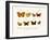 Butterflies, 1783-1806-null-Framed Giclee Print