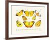 Butterflies, 1783-1806-null-Framed Giclee Print