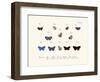 Butterflies, 1783-1806-null-Framed Giclee Print