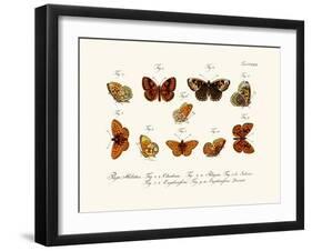 Butterflies, 1783-1806-null-Framed Giclee Print