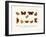 Butterflies, 1783-1806-null-Framed Giclee Print