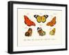 Butterflies, 1783-1806-null-Framed Giclee Print