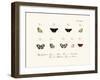 Butterflies, 1783-1806-null-Framed Giclee Print