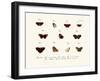 Butterflies, 1783-1806-null-Framed Giclee Print