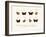 Butterflies, 1783-1806-null-Framed Giclee Print