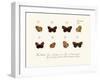 Butterflies, 1783-1806-null-Framed Giclee Print