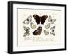 Butterflies, 1783-1806-null-Framed Giclee Print