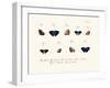 Butterflies, 1783-1806-null-Framed Giclee Print