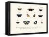 Butterflies, 1783-1806-null-Framed Stretched Canvas