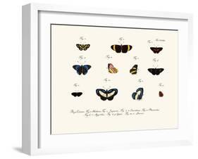 Butterflies, 1783-1806-null-Framed Giclee Print