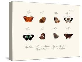 Butterflies, 1783-1806-null-Stretched Canvas