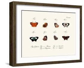 Butterflies, 1783-1806-null-Framed Giclee Print