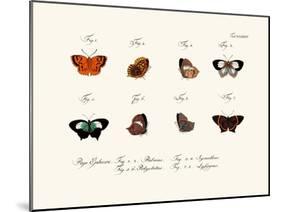 Butterflies, 1783-1806-null-Mounted Giclee Print