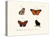 Butterflies, 1783-1806-null-Stretched Canvas