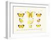 Butterflies, 1783-1806-null-Framed Giclee Print