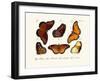 Butterflies, 1783-1806-null-Framed Giclee Print